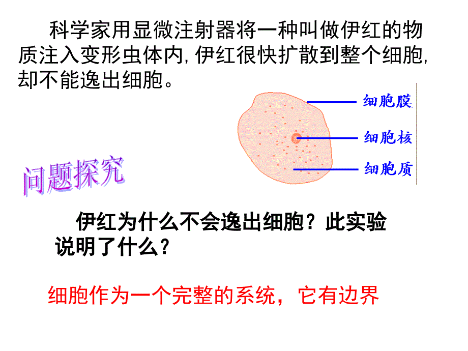 细胞膜公开课版本课件_第1页