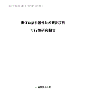 湛江功能性器件技术研发项目可行性研究报告【参考范文】