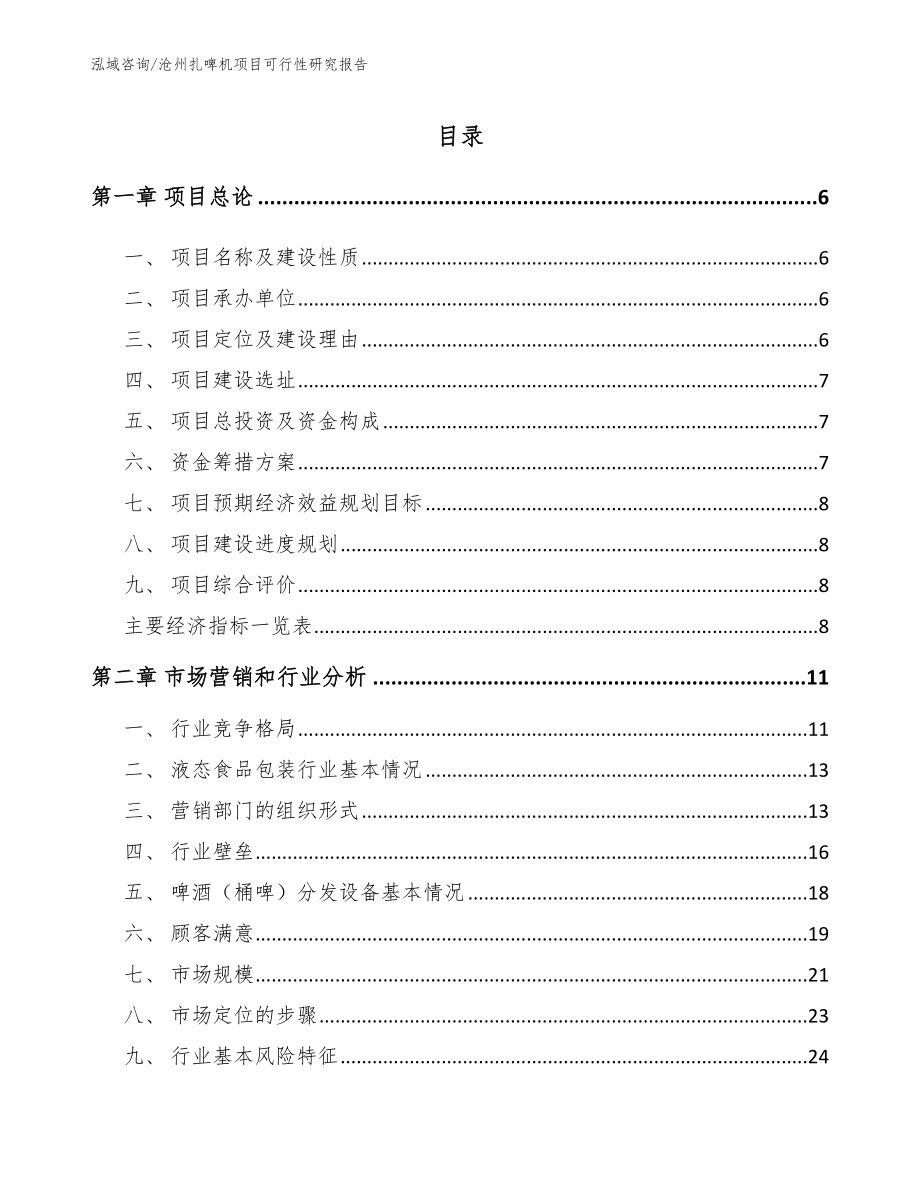 沧州扎啤机项目可行性研究报告（模板范本）_第1页