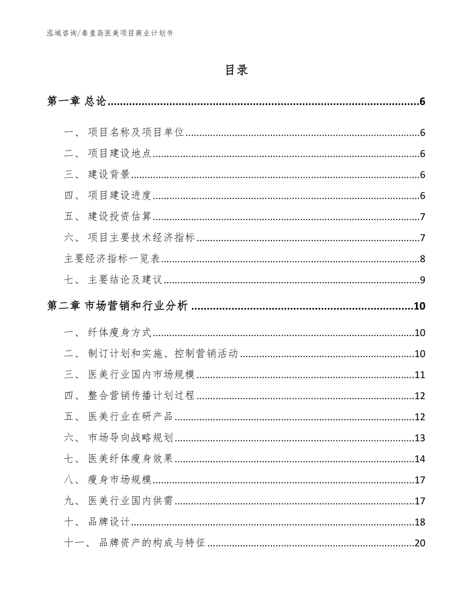 秦皇岛医美项目商业计划书模板_第1页
