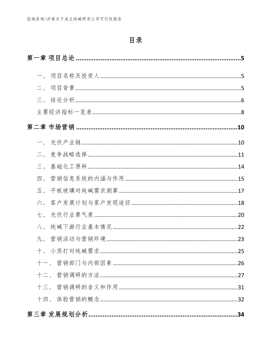 济南关于成立纯碱研发公司可行性报告_范文模板_第1页
