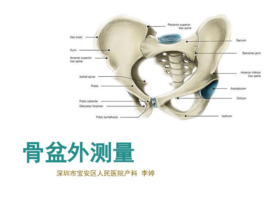 《骨盆外测量》课件_第1页