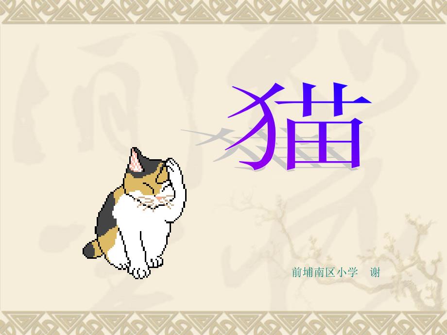 教育专题：猫2_第1页