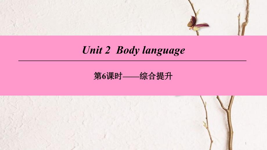 （广州沈阳通用）八年级英语下册 Unit 2 Body language（第6课时）综合提升课件 牛津深圳版_第1页