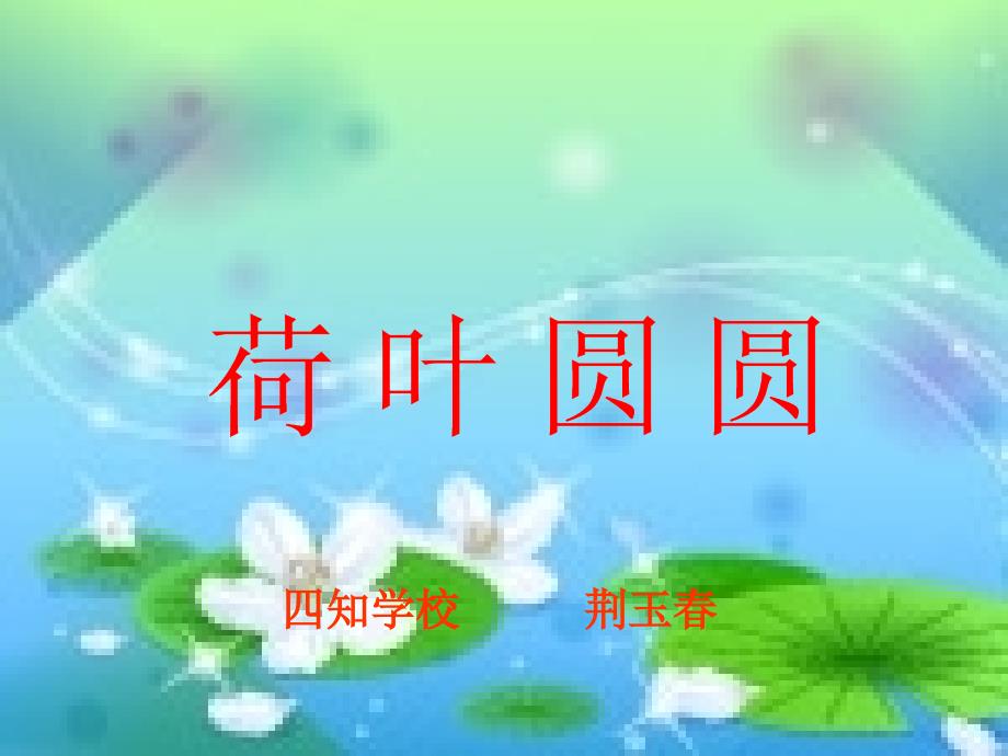 《荷叶圆圆》课件_第1页