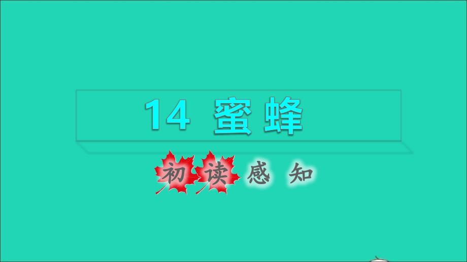 2022年三年级语文下册第4单元第14课蜜蜂初读感知课件新人教版_第1页