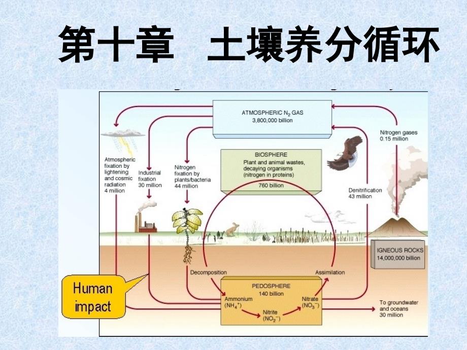 《土壤养分循环》PPT课件_第1页