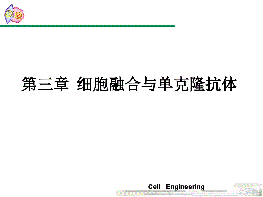 第3章 细胞融合与单克隆抗体-1_第1页