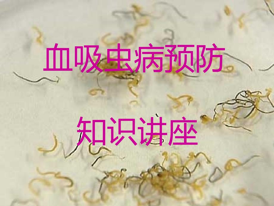 《血吸虫预防》PPT课件_第1页