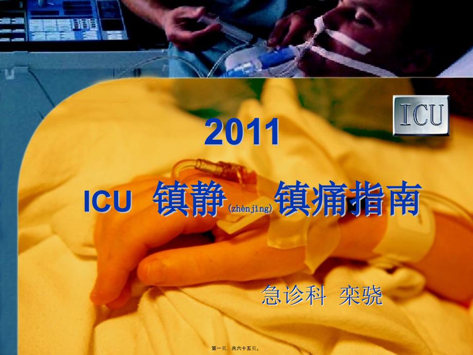 2022年医学专题—ICU镇静镇痛指南_第1页