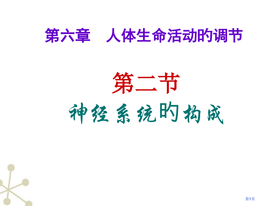 神经系统的组成专题知识宣教_第1页