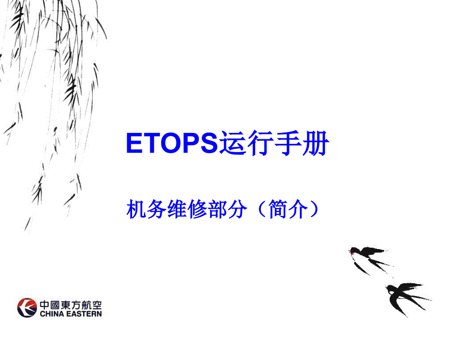 《ETOPS简介》PPT课件_第1页