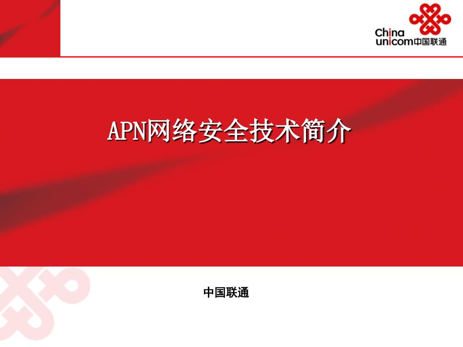 APN网络安全技术简介_第1页