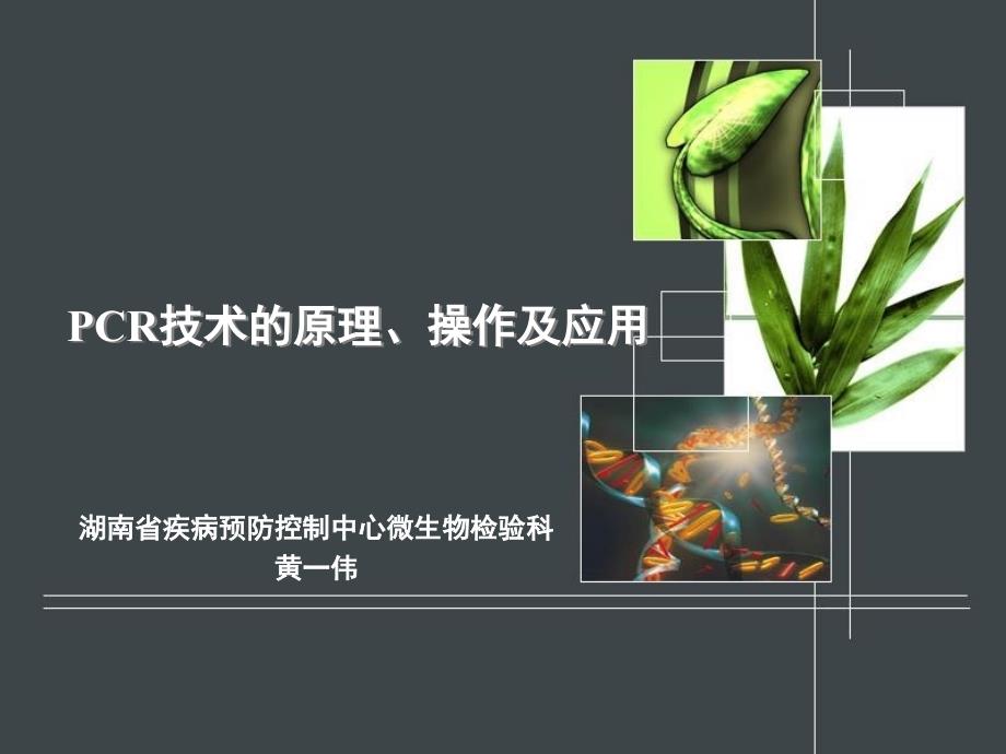 CR技术的原理、操作及应用_第1页