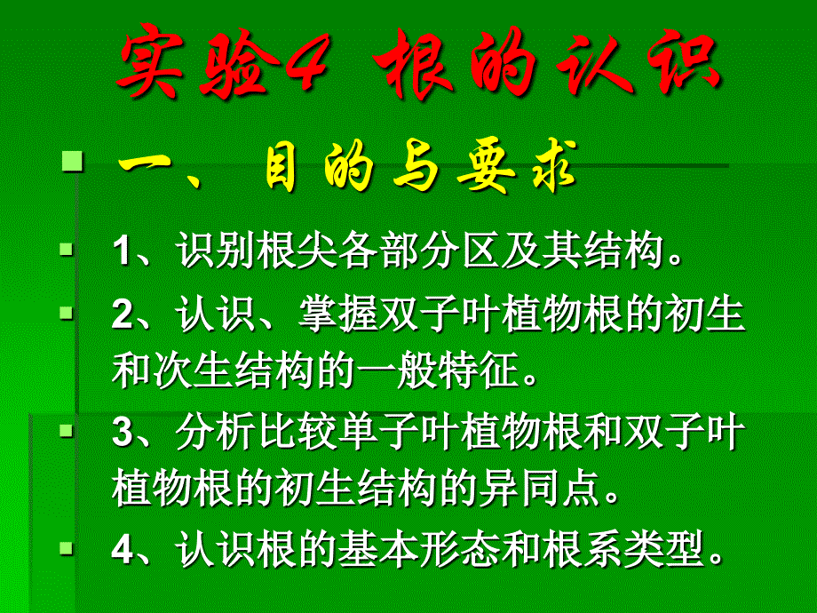 《植物二上根的》PPT课件_第1页