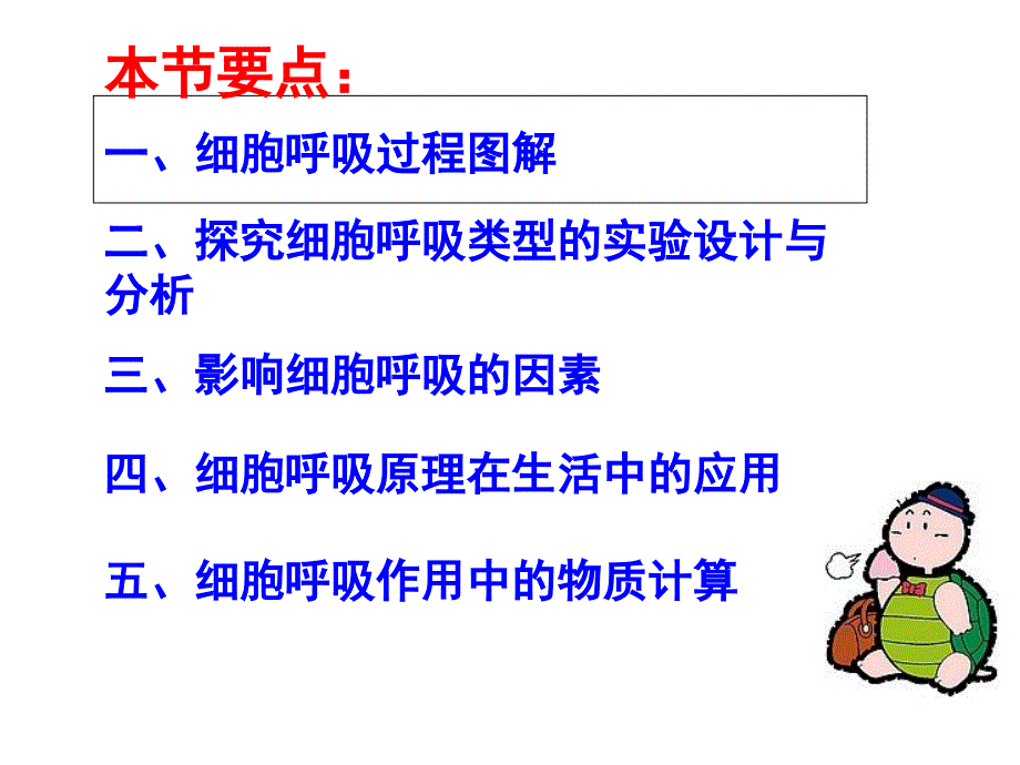 影响细胞呼吸作用的因素_第1页