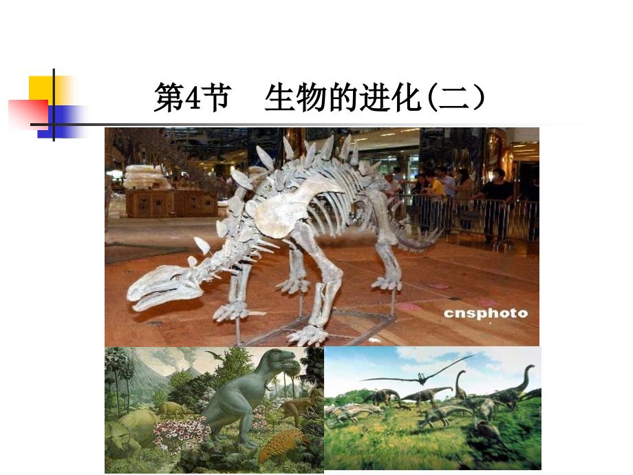 生物的进化(二)_第1页