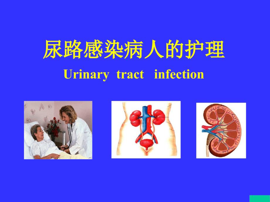 尿路感染护理课件_第1页