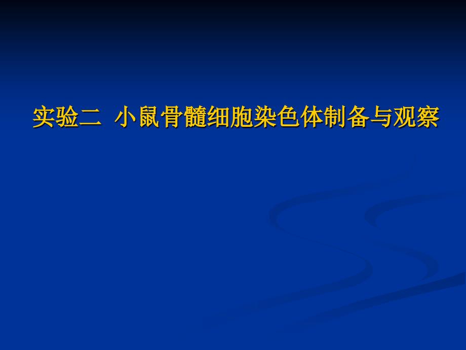 小鼠骨髓细胞染色体制备与观察_第1页