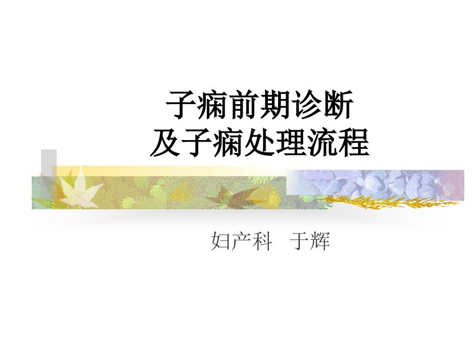 子痫前期诊断及子痫处理_第1页