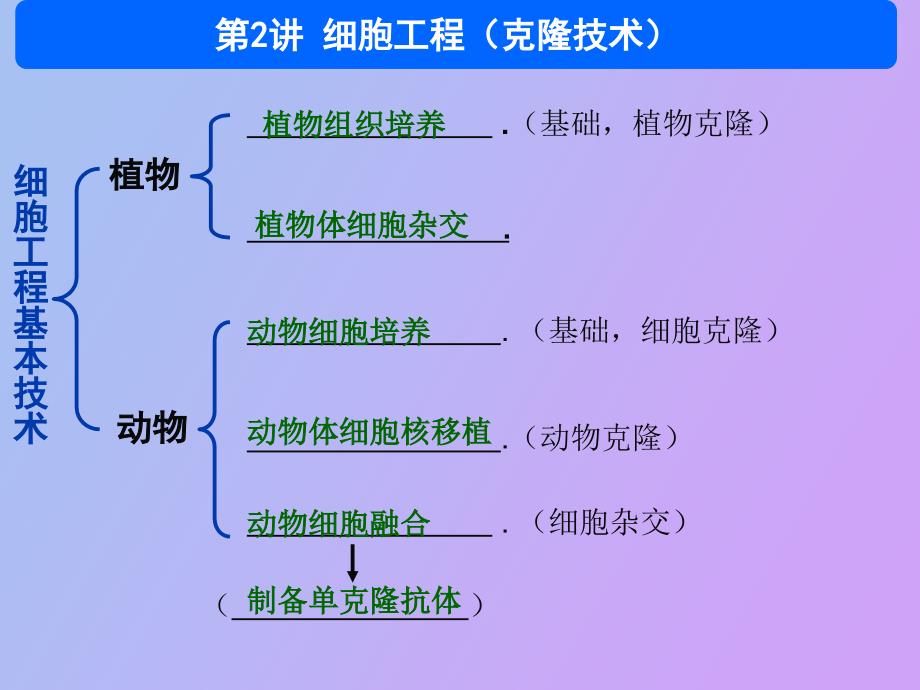 细胞工程张韶杰_第1页