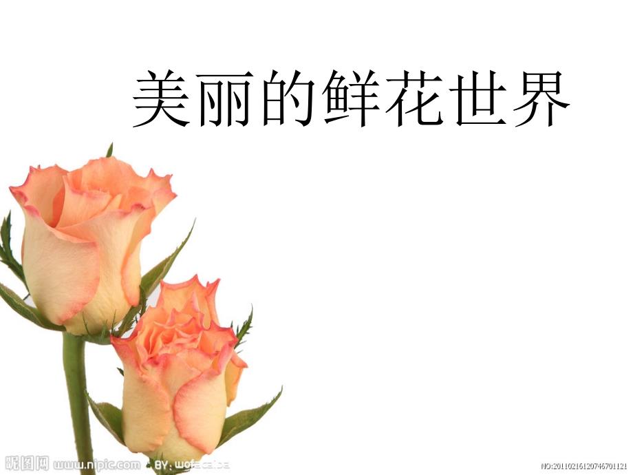 小学美术儿童画课件-美丽的鲜花_第1页