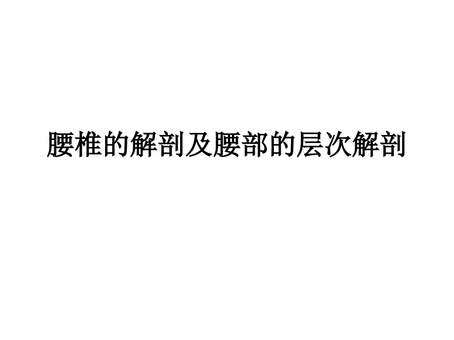 腰椎的解剖及腰部的层次解剖_第1页