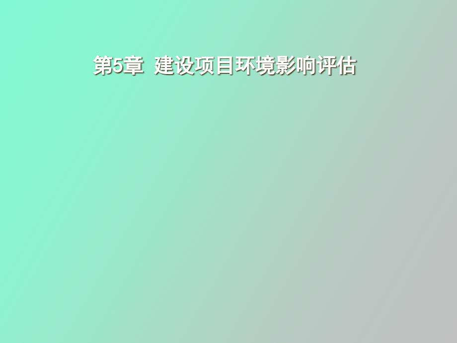 项目环境影响评估_第1页