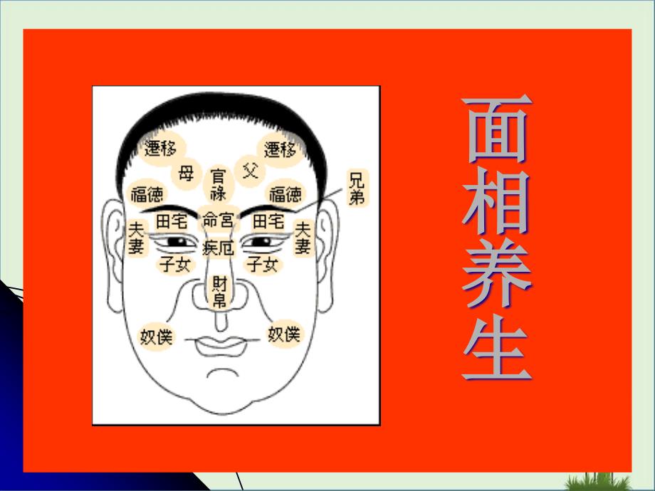 面相资料优秀PPT_第1页