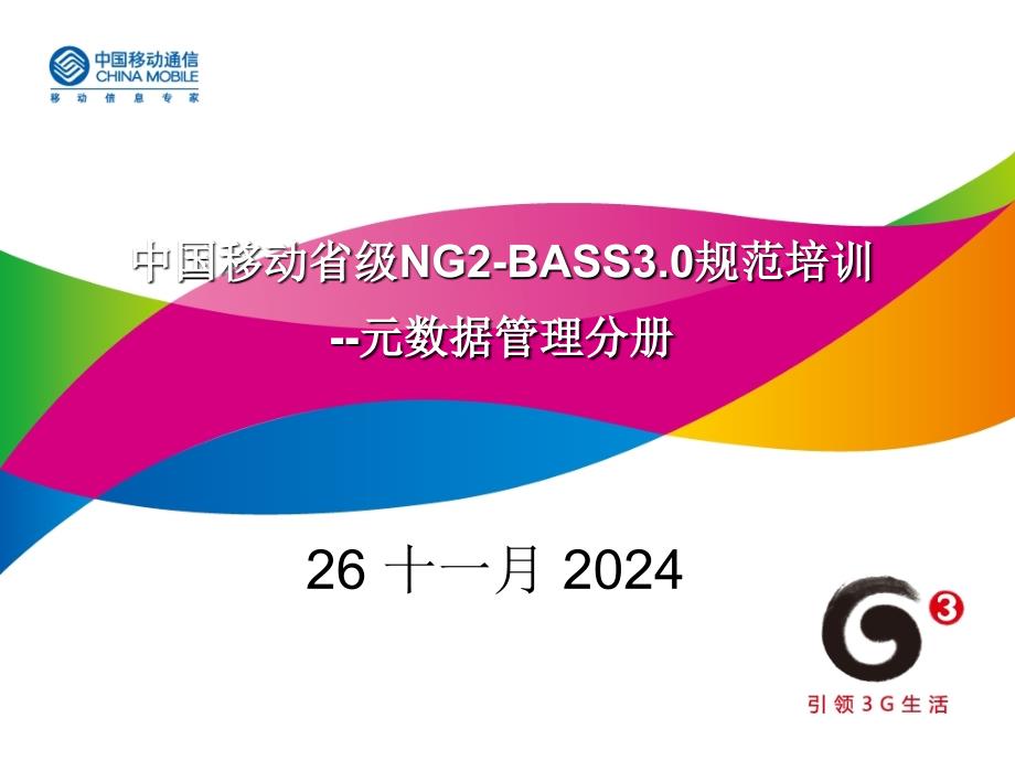 NG2-BASS30规范培训-技术规范-元数据管理分册课件_第1页