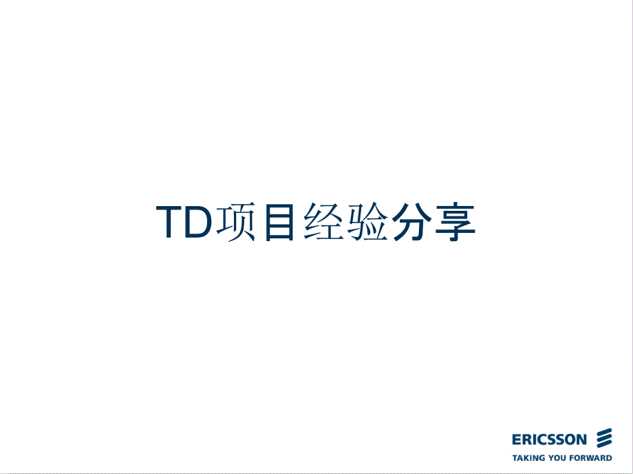 (精品)TD项目经验分享_第1页