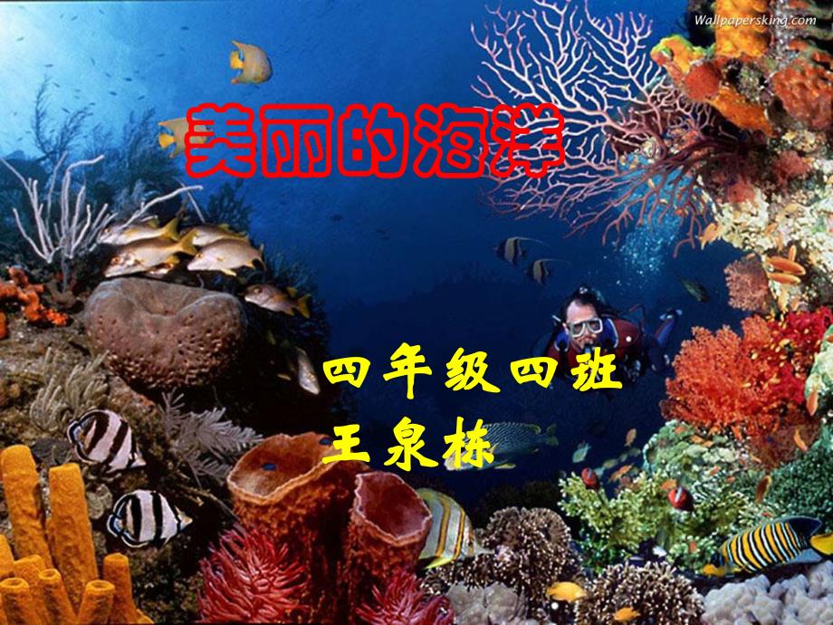 我喜欢的海洋动物_第1页