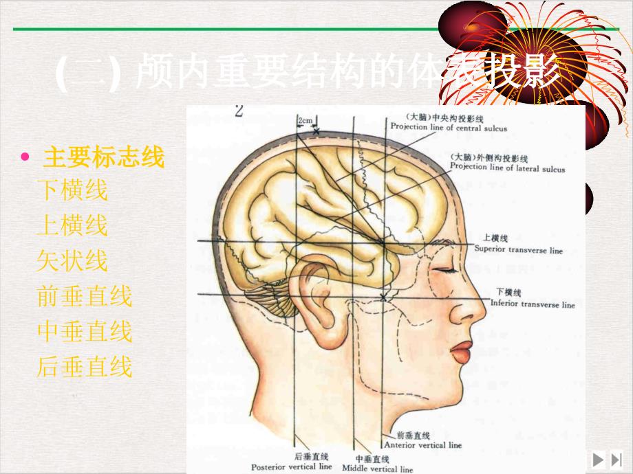 颅脑应用解剖学课件_第1页