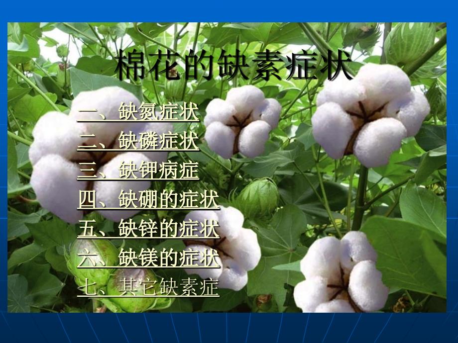 棉花缺素症及预防措施_第1页