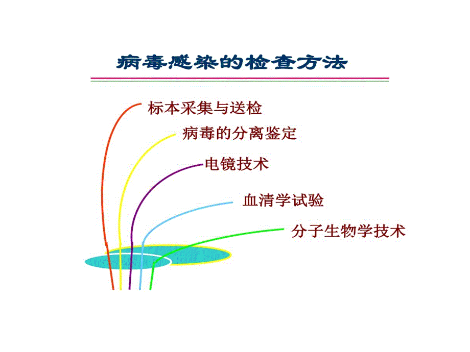 病毒感染检查PPT模板课件_第1页