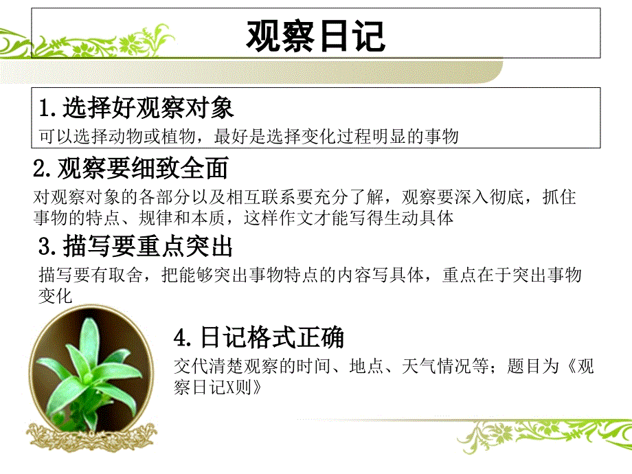 绿豆芽观察日记_第1页