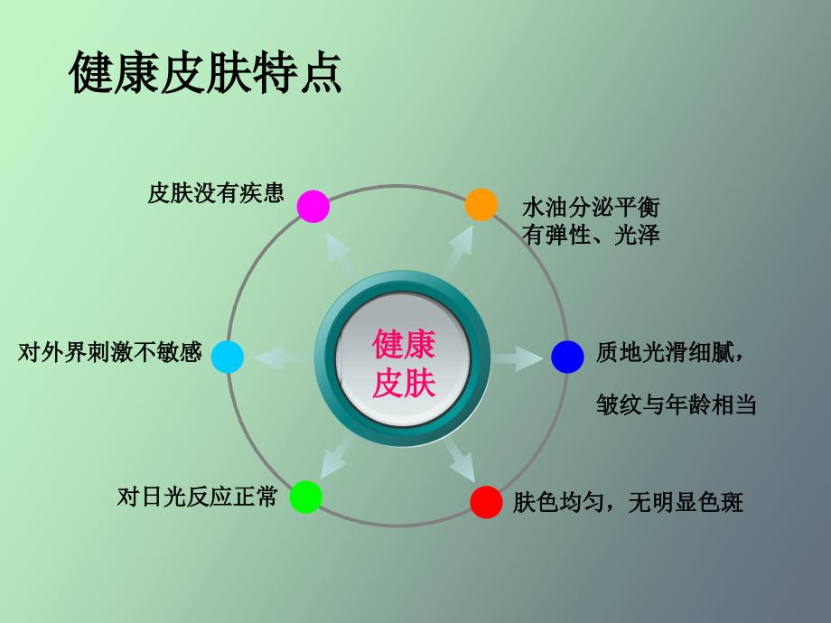 皮肤分类及保养_第1页