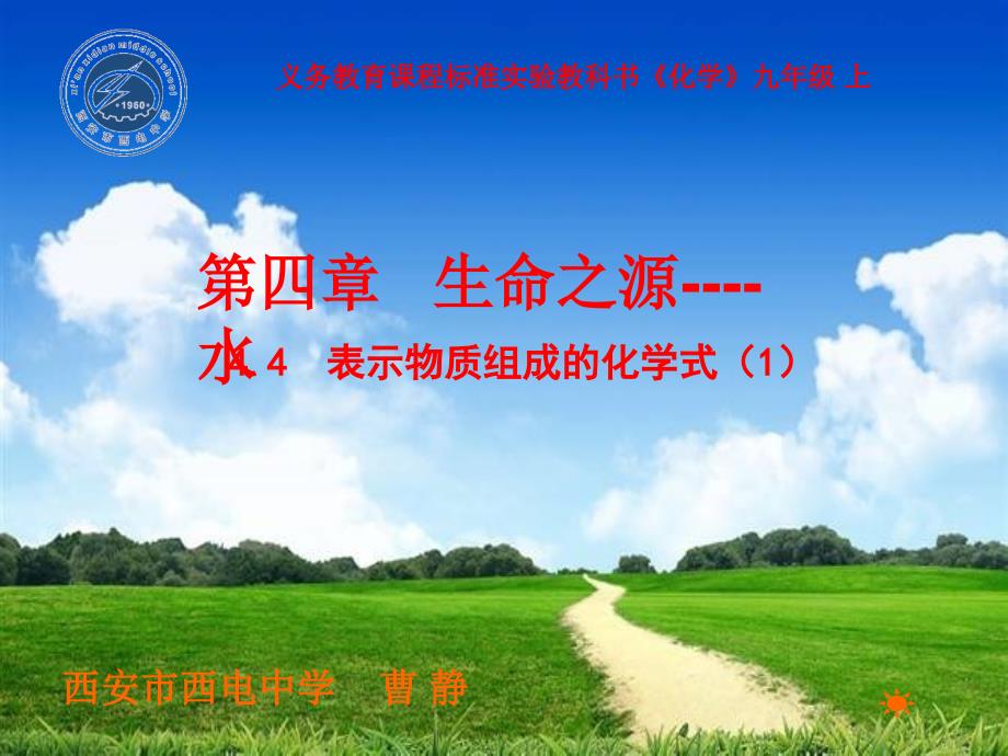 表示物质组成的化学式_第1页