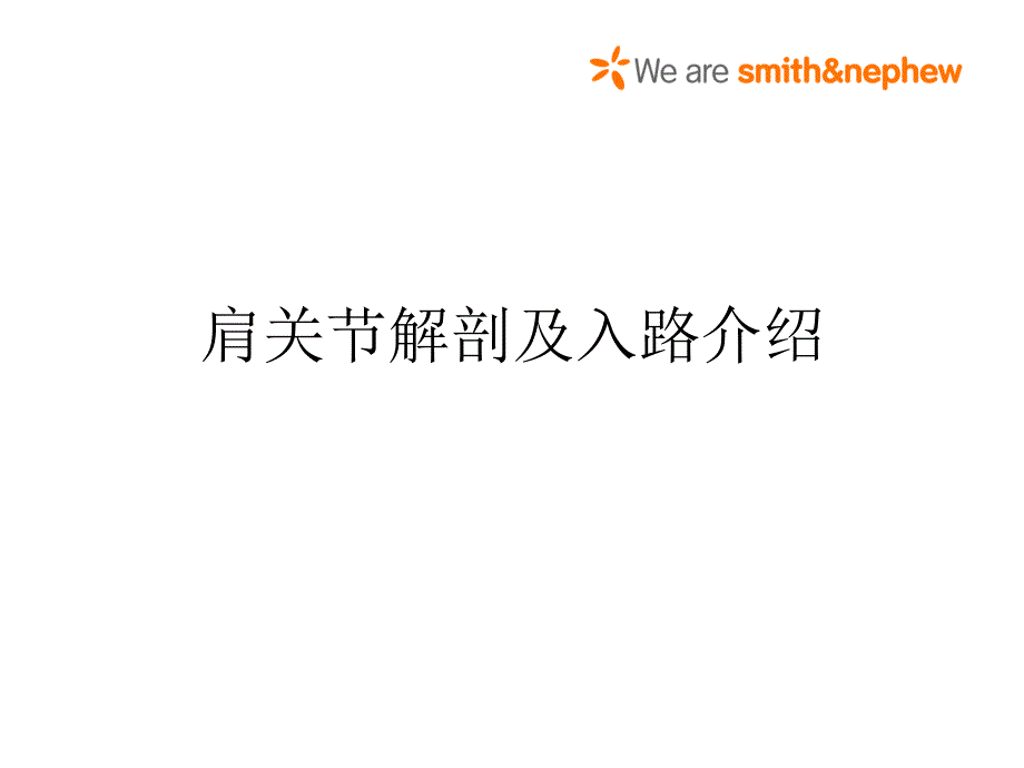 肩关节解剖、入路及打结_第1页