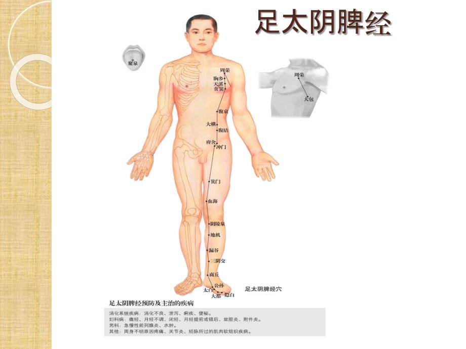 足太阴脾经重点穴位_第1页