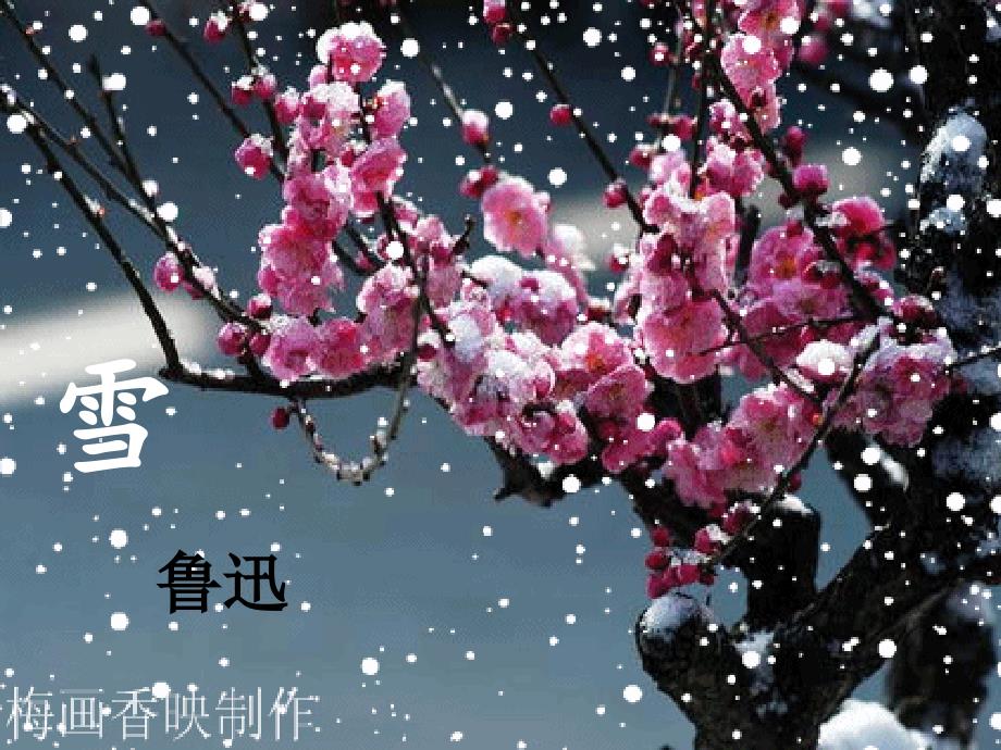 鲁迅《雪》PPT优秀课件_第1页