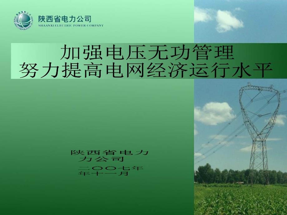 陕西省电力公司(发言)_第1页