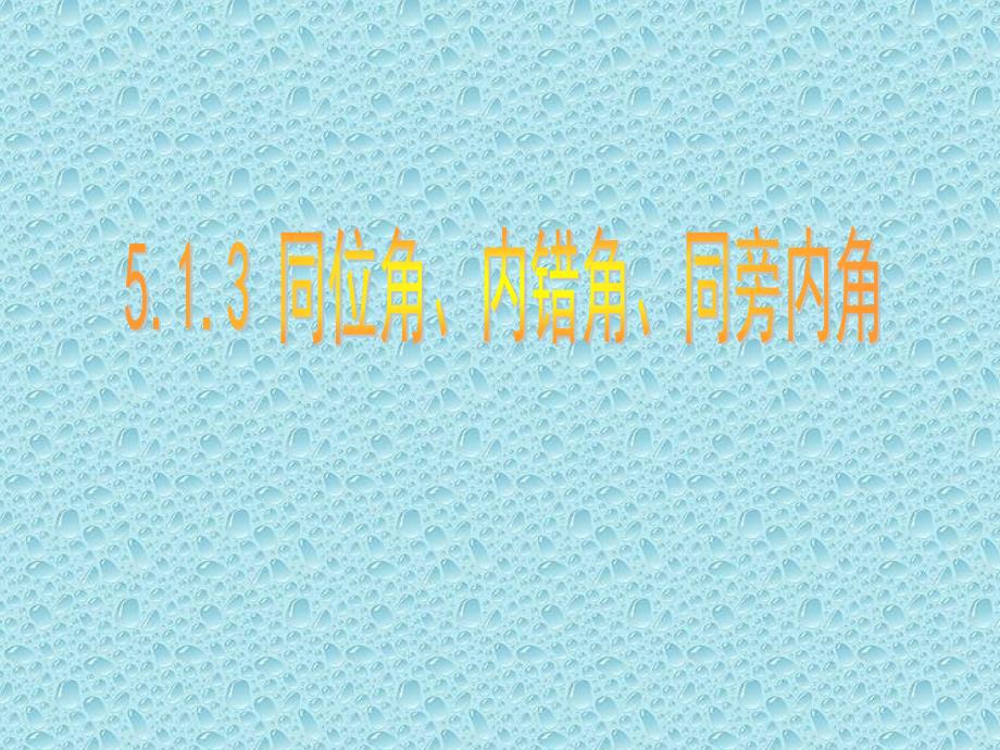 5.1.3 同位角、内错角、同旁内角24248_第1页