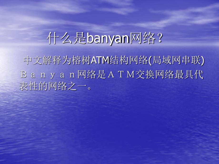 (精品)什么是banyan网络2_第1页