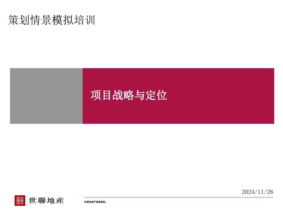 项目战略与定位概述_第1页