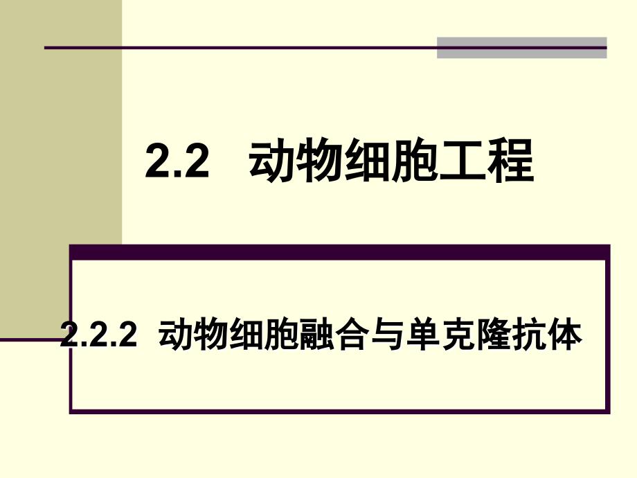 动物细胞融合与单克隆抗体(讲课)_第1页