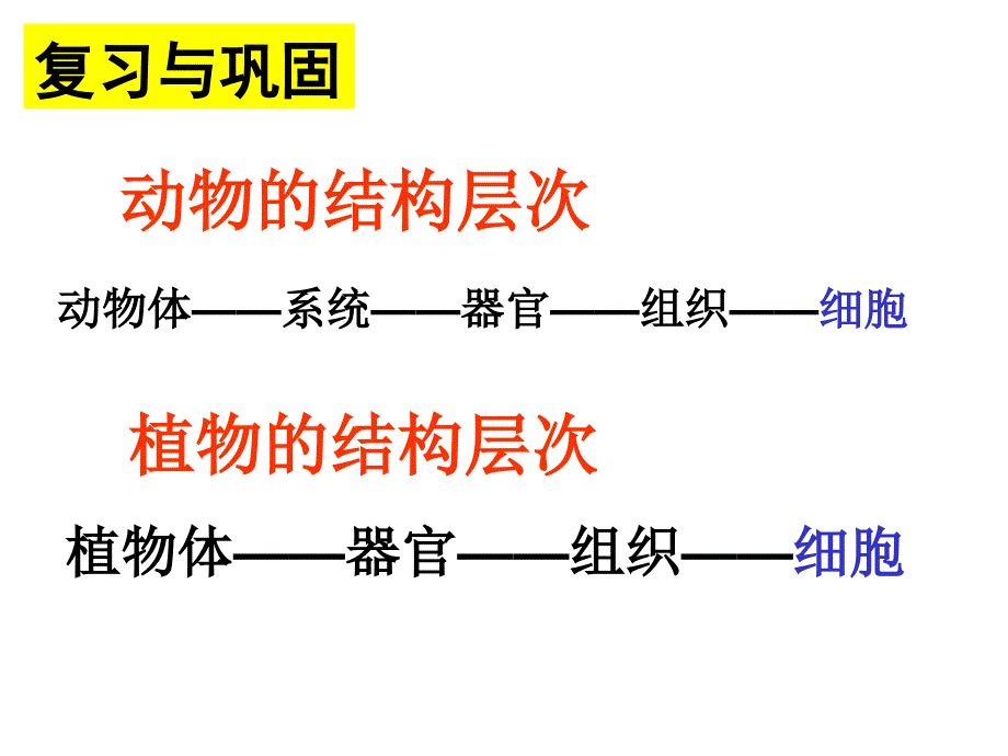 动物的结构层次只有一个细胞的生物体_第1页