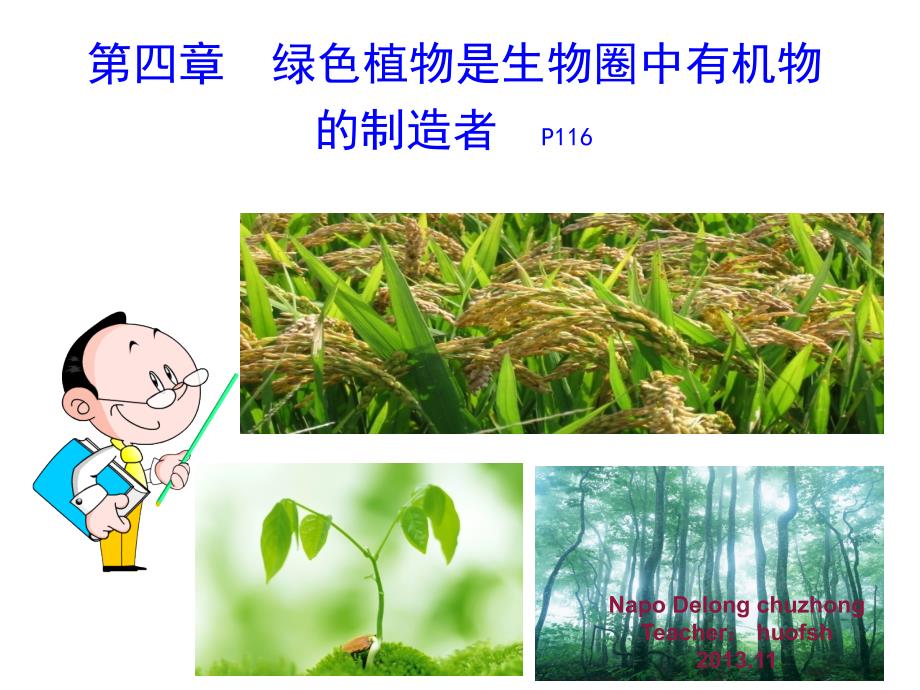 2013年.第四章.绿色植物是生物圈中有机物的制造者_第1页