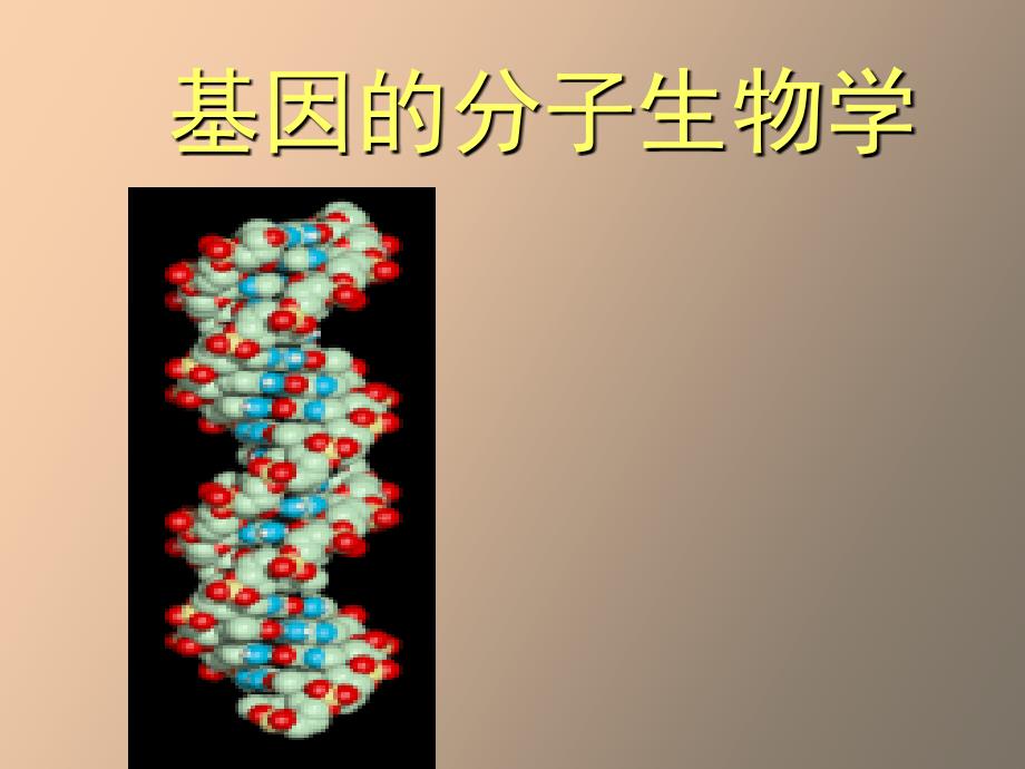 基因的分子生物学_第1页