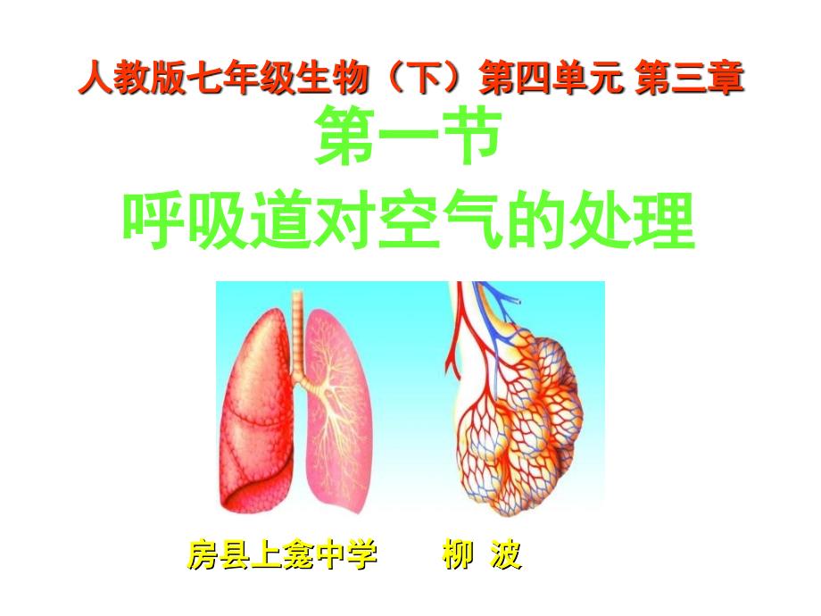 七年级生物呼吸道对空气的处理_第1页